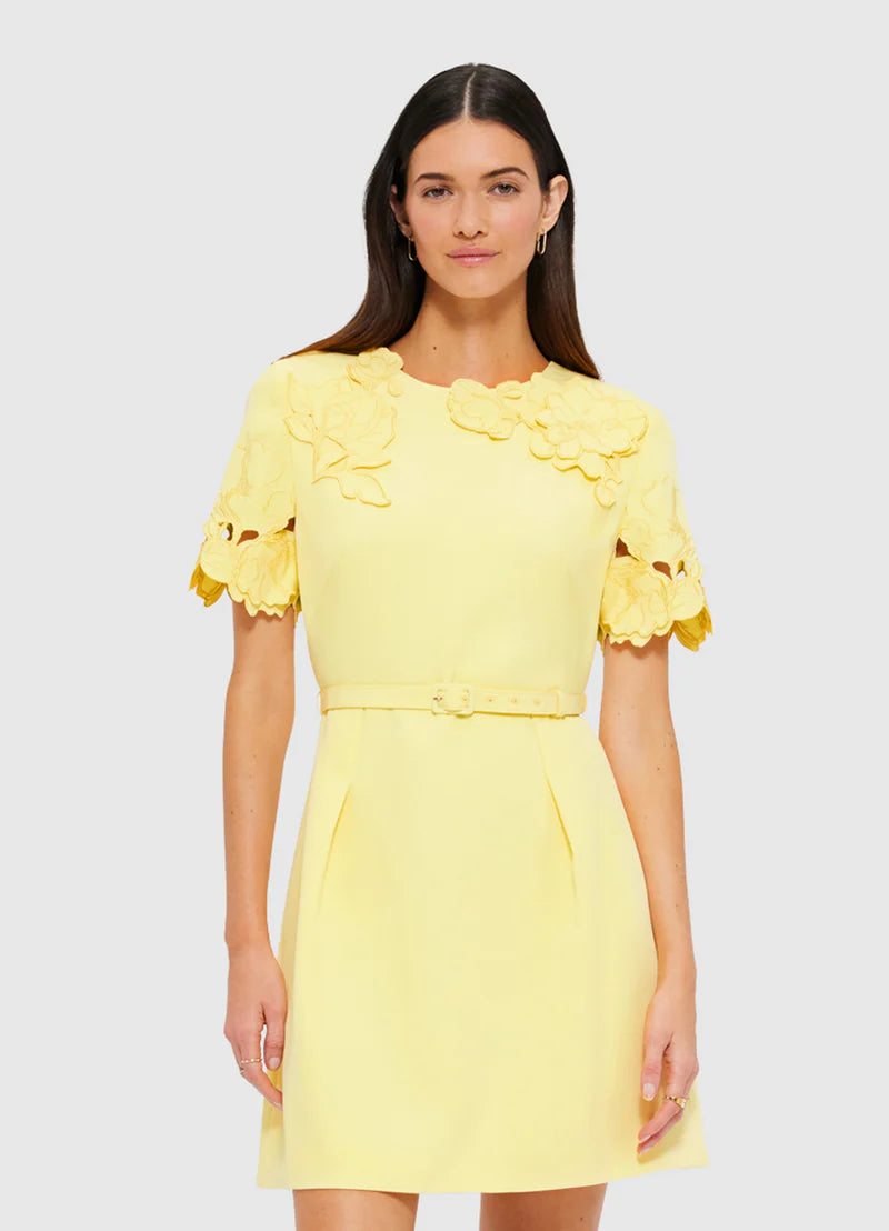Aurelie Appliqué Short Sleeve Mini Dress