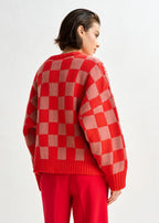 Person wearing a red and white checkered sweater on a white background