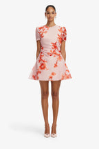 Elyse Short Sleeve Mini Dress