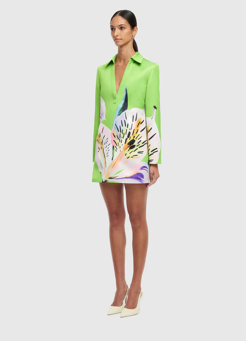 Acacia Shirt Mini Dress