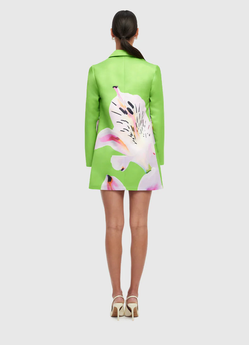 Acacia Shirt Mini Dress