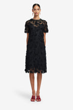 Black lace dress worn by a model on a white background