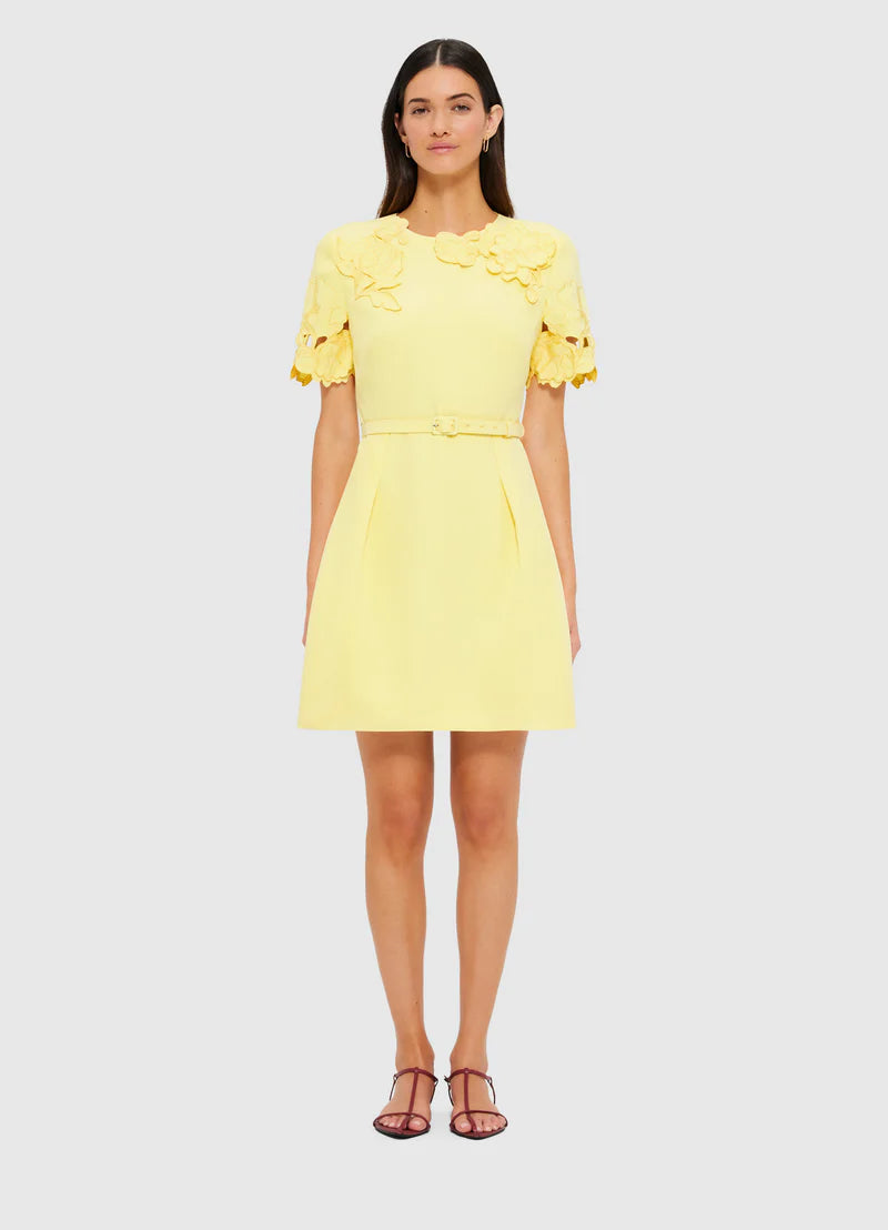 Aurelie Appliqué Short Sleeve Mini Dress