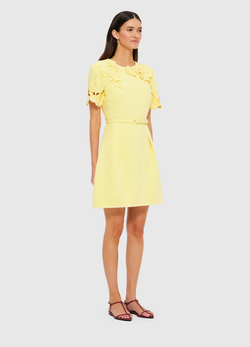 Aurelie Appliqué Short Sleeve Mini Dress