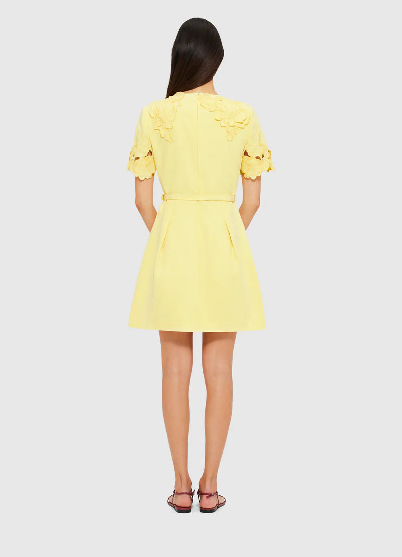 Aurelie Appliqué Short Sleeve Mini Dress