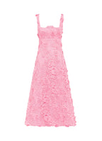 Pink lace dress on a white background