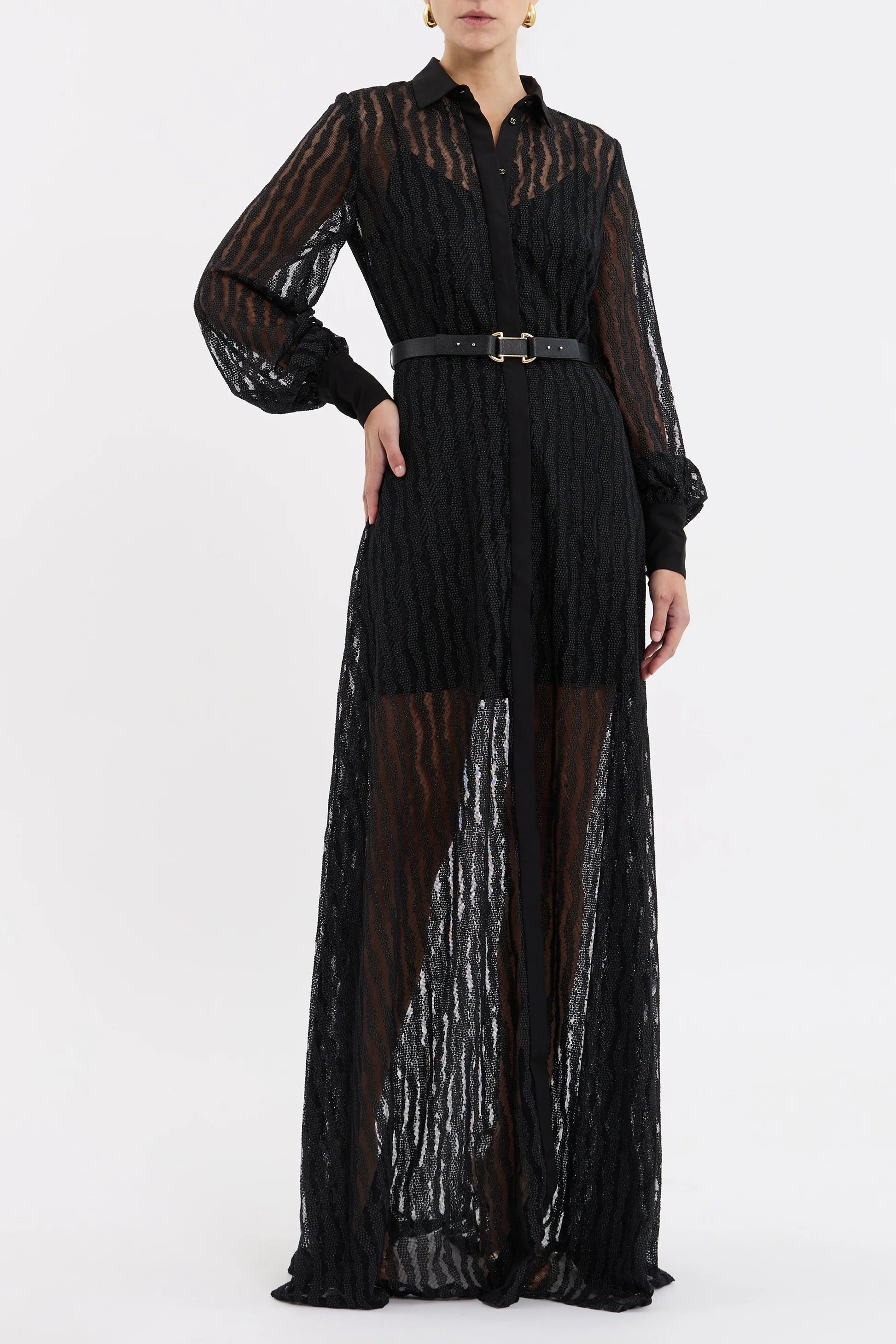 seraphim maxi dress Rebecca vallance Black dress with sheer sleeves and bottom half on a white background