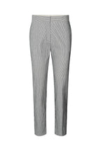 Gray pants on a white background