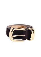 A dark brown suede belt with a polished gold-tone metal buckle, shown coiled on a light beige background.