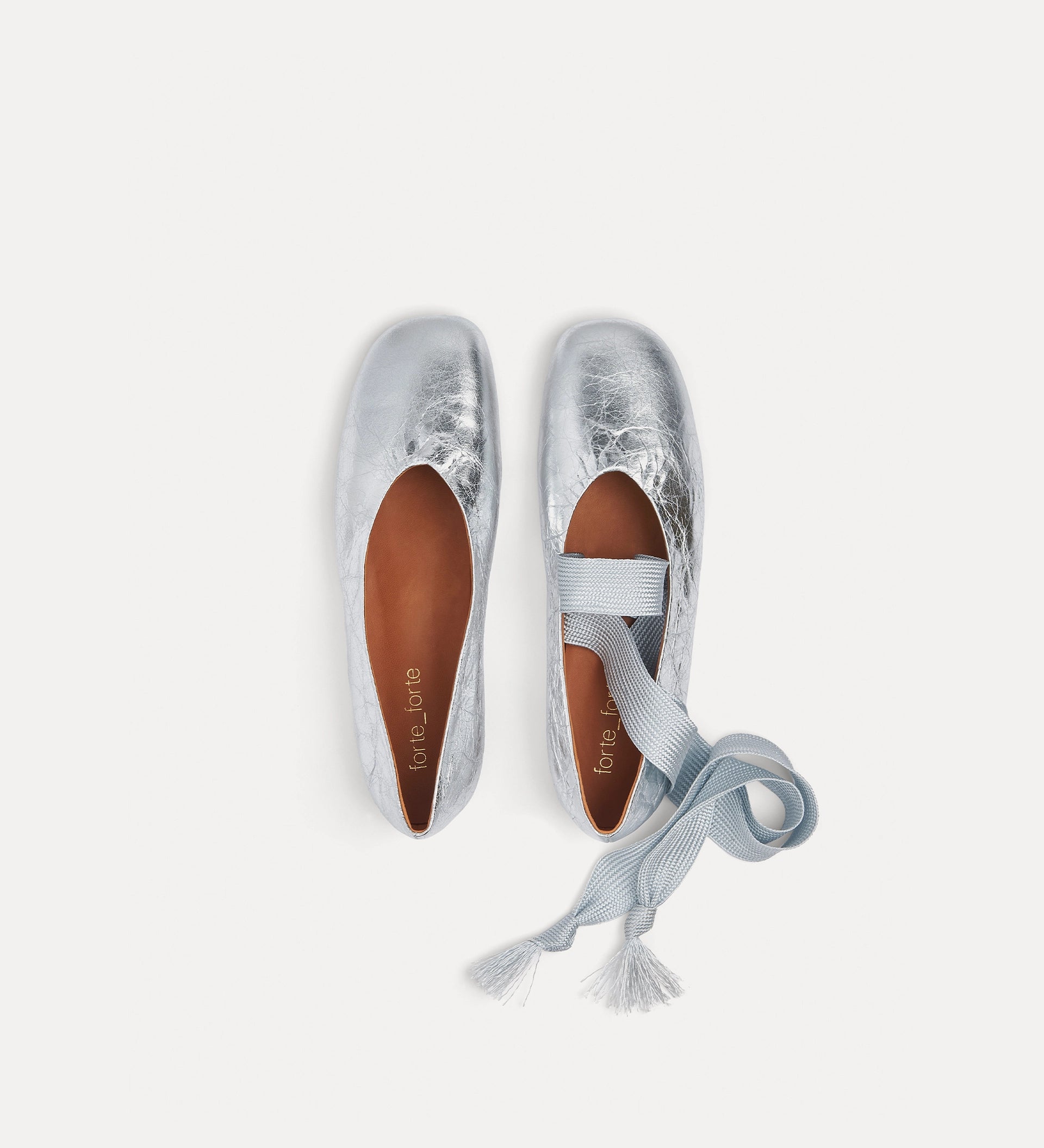 Silver ballet flats with a strap on a white background