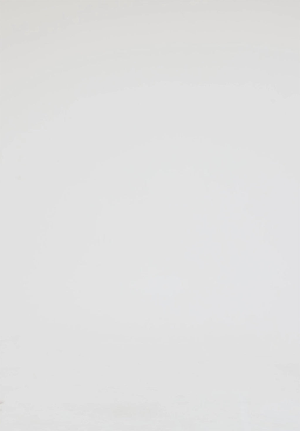 Suzanne Bell Sleeve Mini Dress