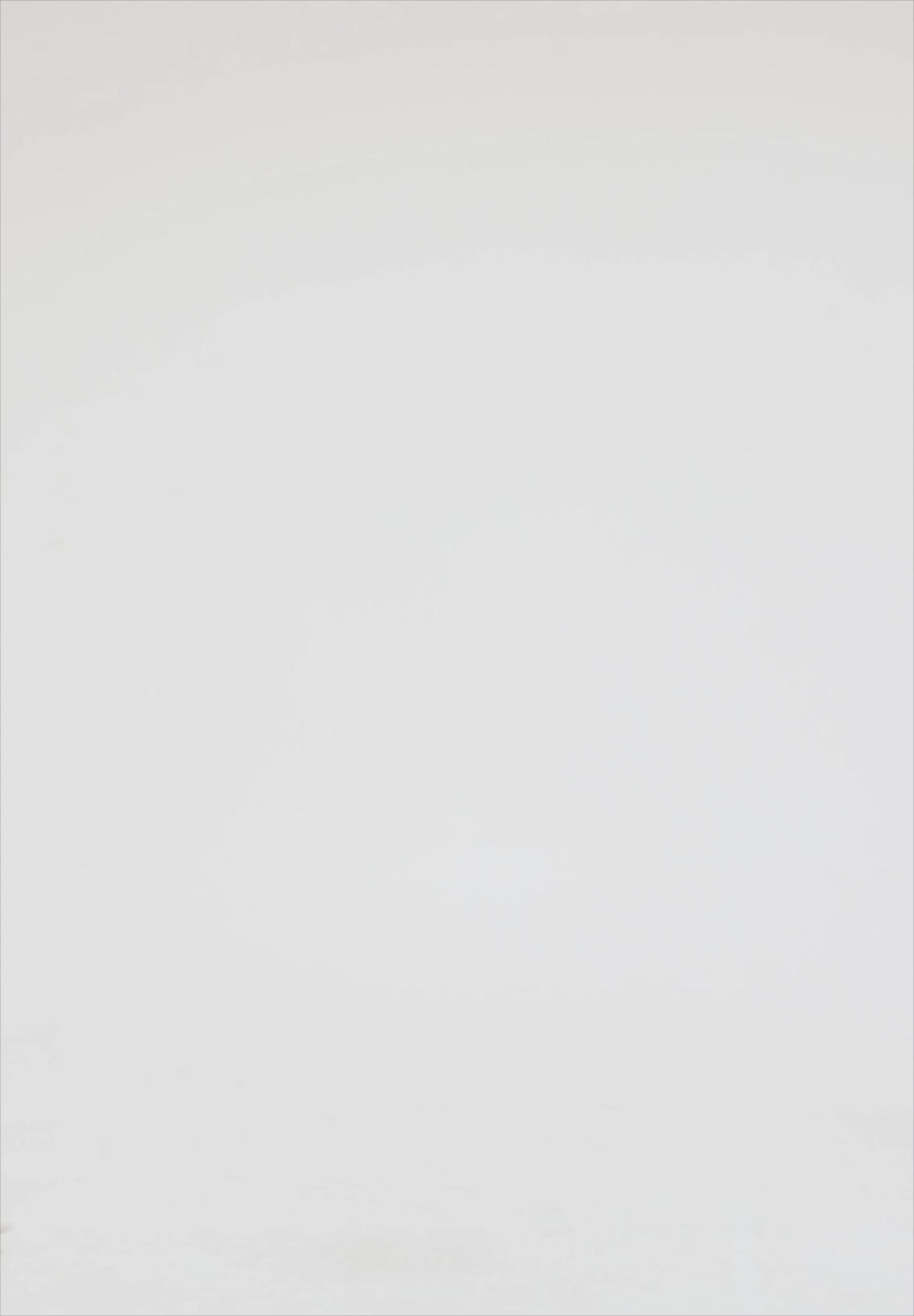 Suzanne Bell Sleeve Mini Dress