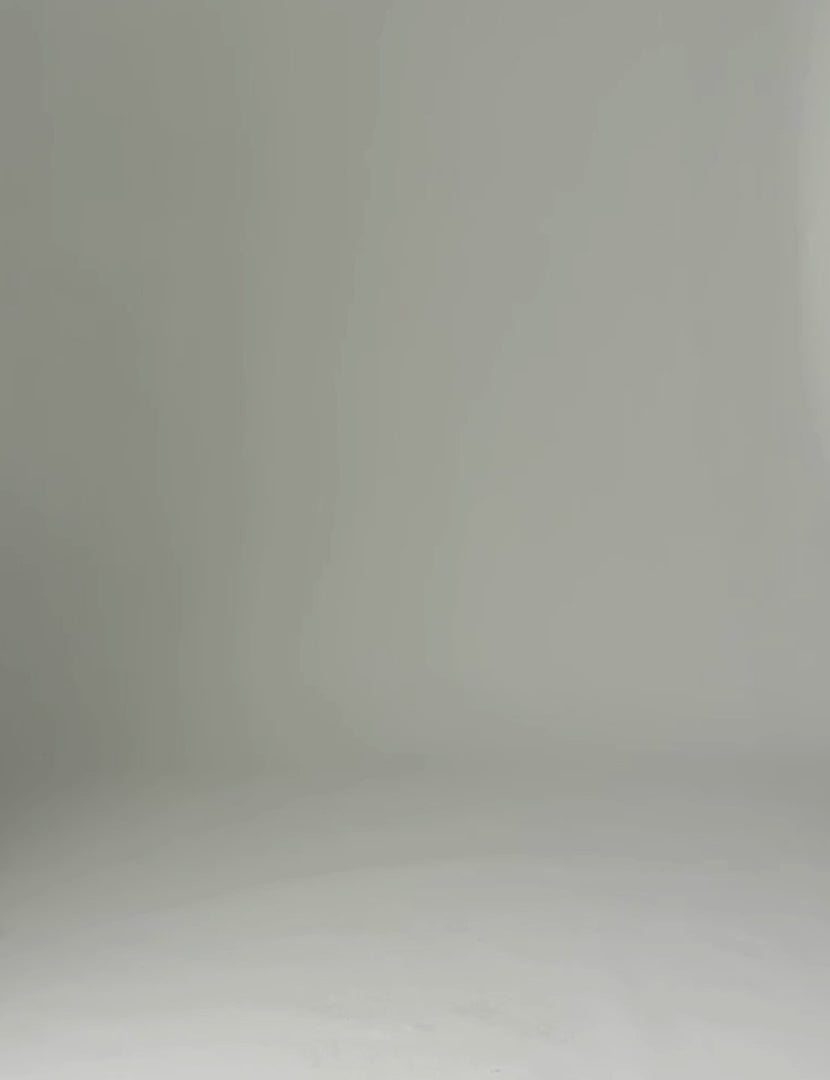 DAYChai Organza Skirt